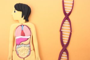 身体　遺伝子　DNA　エピジェネティクス