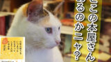 どこの本屋さんにあるのかな？